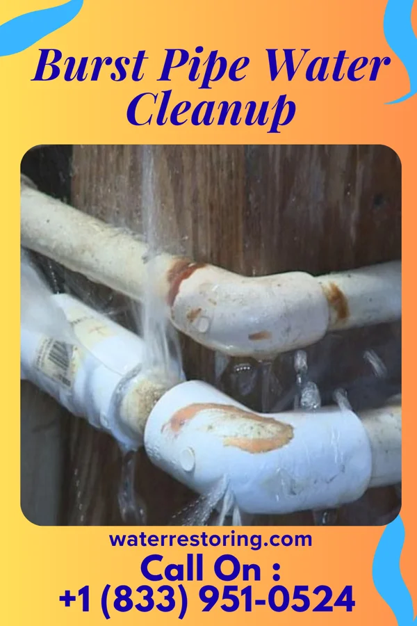 Burst Pipe Water Cleanup in Mack, OH