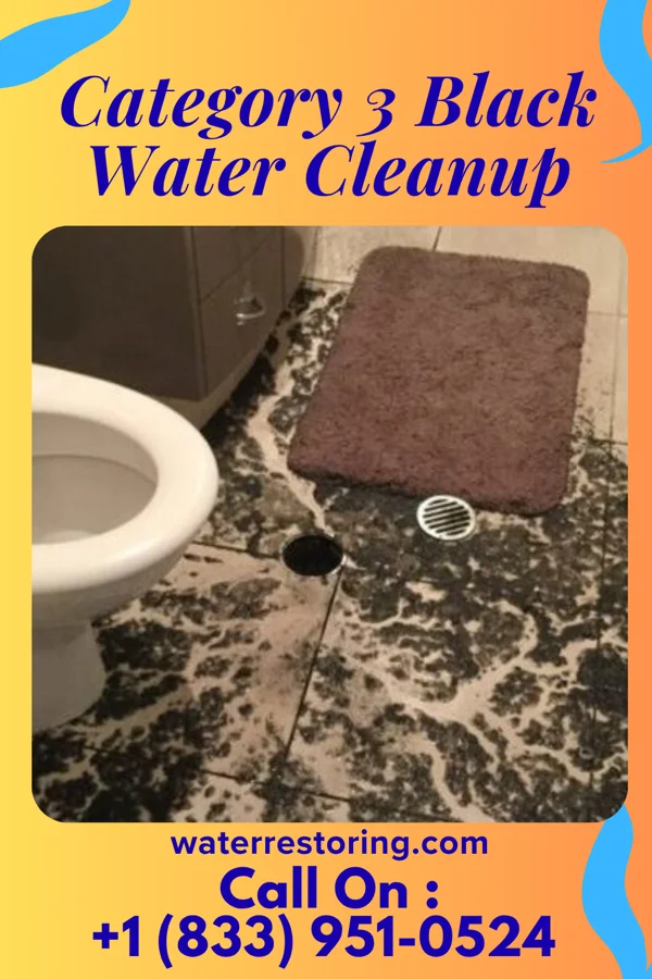 Category 3 Black Water Cleanup in Mack, OH