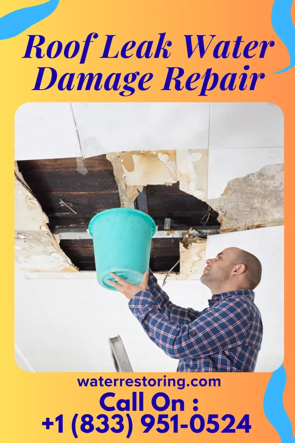 Roof Leak Water Damage Repair in Mack, OH