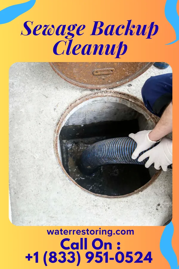 Sewage Backup Cleanup in Mack, OH