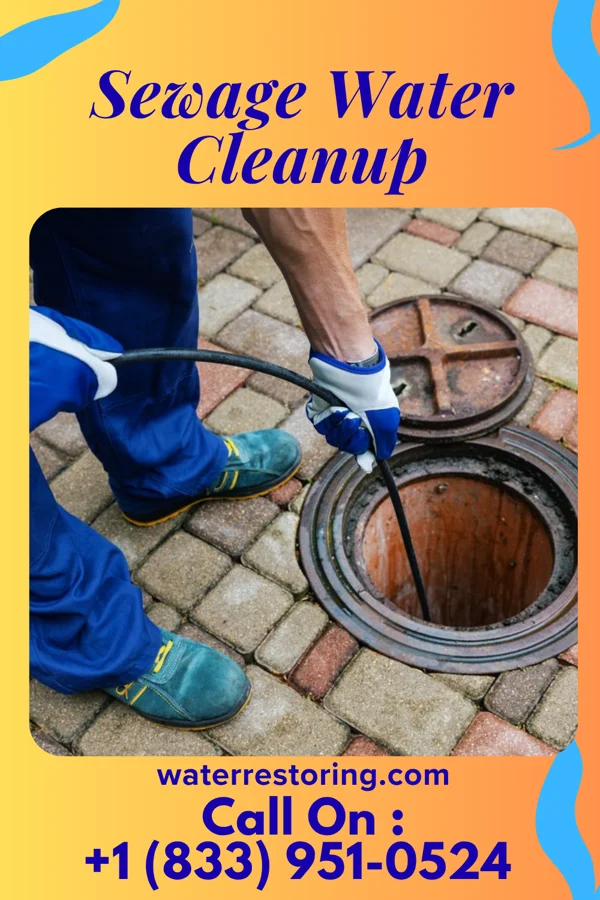 Sewage Water Cleanup in Mack, OH