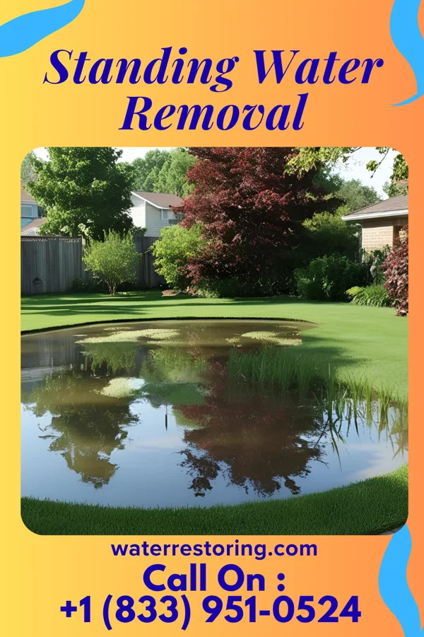 Standing Water Removal in Mack, OH